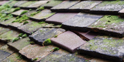 Ffynnon Ddrain roof repair costs